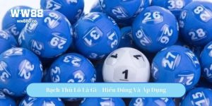 Bạch Thủ Lô Là Gì – Hiểu Đúng Và Áp Dụng Trong Chơi Xổ Số