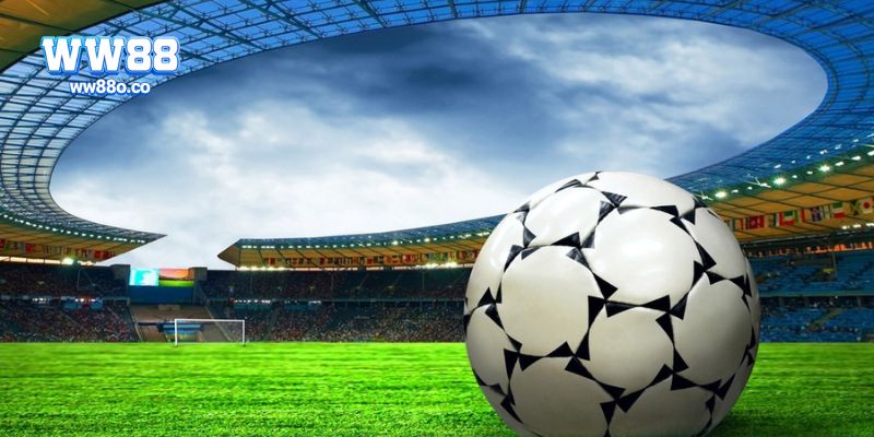 Cá cược thể thao và vai trò của soi kèo bóng đá