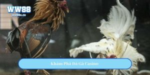 Khám Phá Đá Gà Casino – Trải Nghiệm Đỉnh Cao Giới Cá Cược