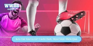 Kèo Tài Xỉu Là Gì? Cách Chơi, Mẹo Cược Hiệu Quả Cho Người Mới