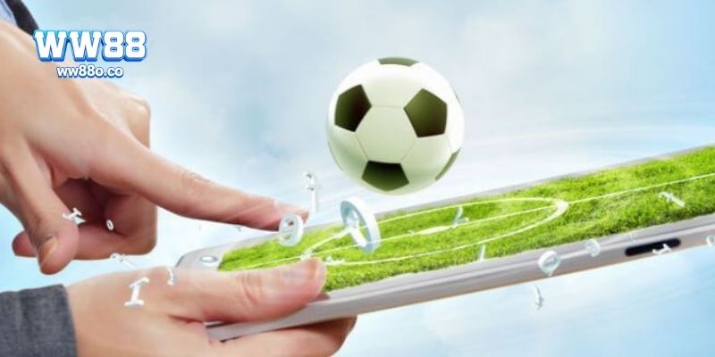 Ưu điểm và nhược điểm của kèo Châu Âu